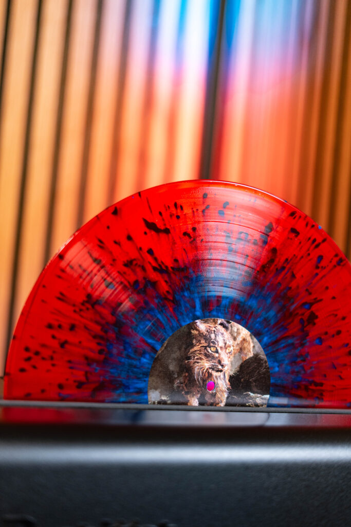 Heaven Shall Burn Vinyl beim Reinigen mit Degitter Mark II